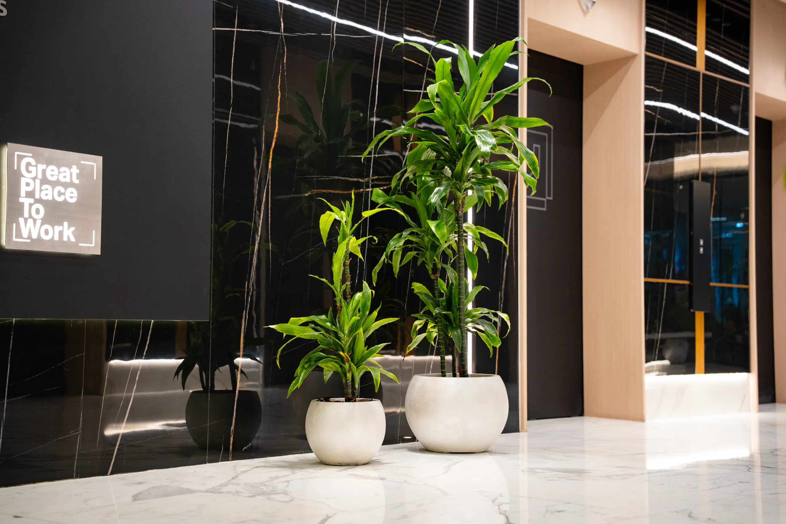 Great Place To Work — Plants